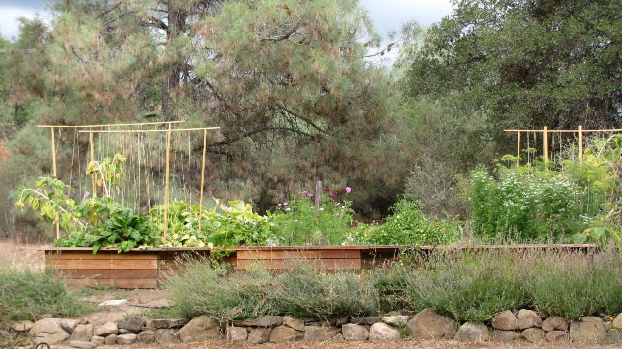 Yosemite Rose Bed And Breakfast Groveland Exterior photo
